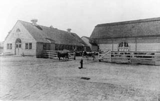 Historic paddock photograph